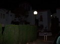 100_2432.JPG
