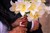 Närbild hand blomma.jpg